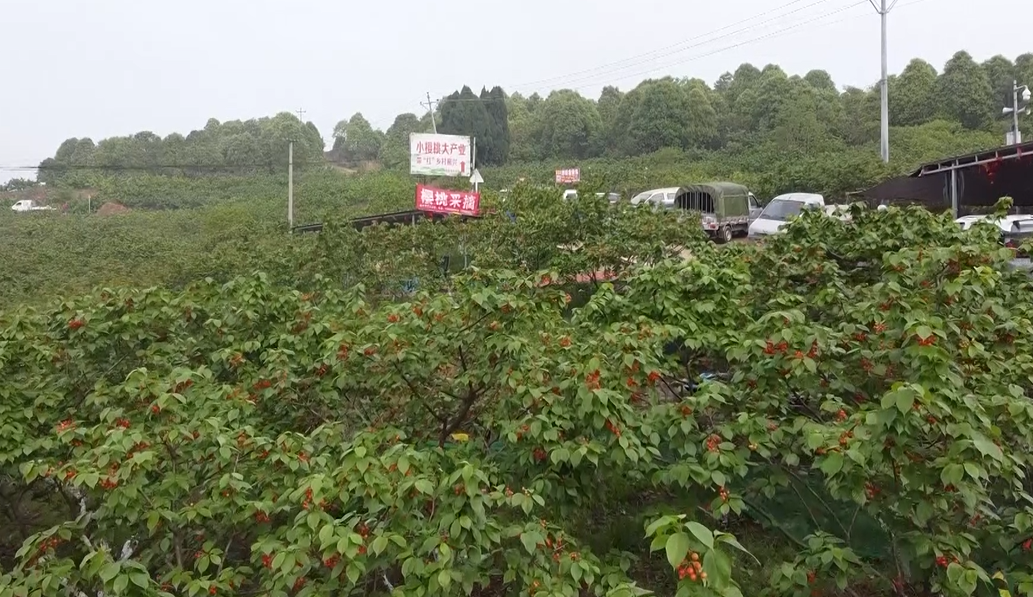 微信截圖_20220625114828.png